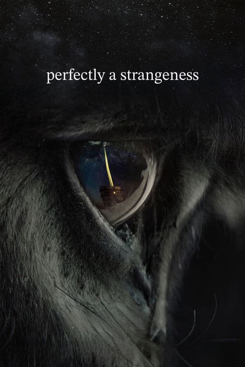 Poster of Perfectly a Strangeness
